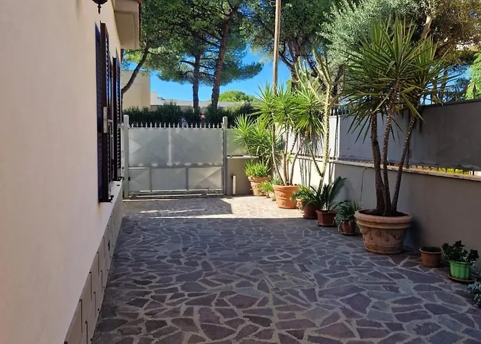 Garden 35 *